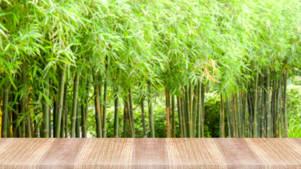 istock Wooden table top on green nature background 1042415648