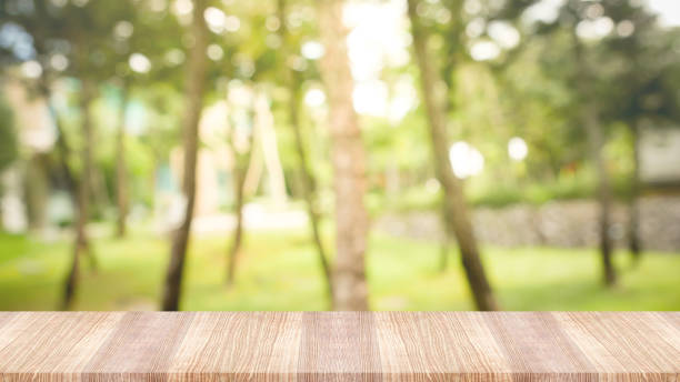 istock Wooden table top on green nature background 1042419262