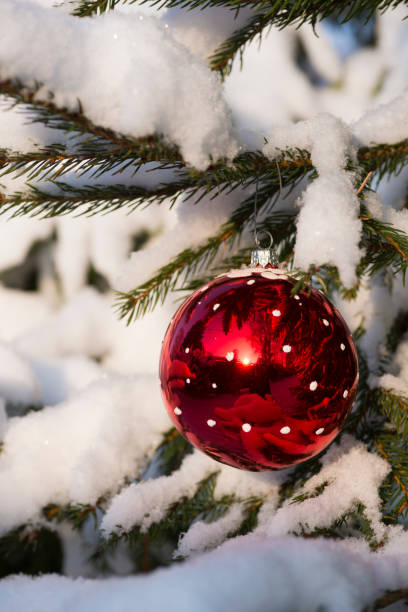 istock Christmas tree. New year. Snow. Winter. 1042419342