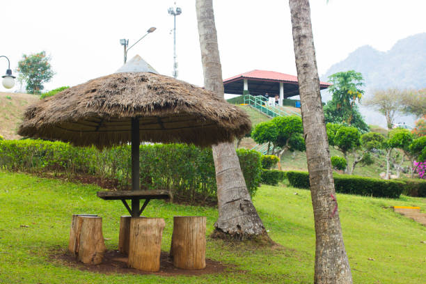 istock Gazebo made of natural materials in the park. 1042425862