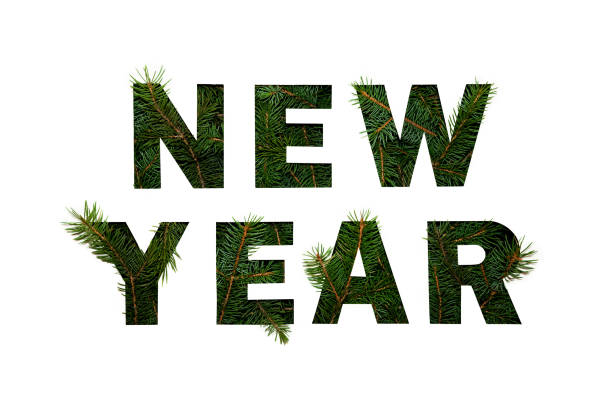 istock Words New Year with Green Fir Branches on Light Background. Creative Nature Concept. Minimal Flat Lay 1042429878