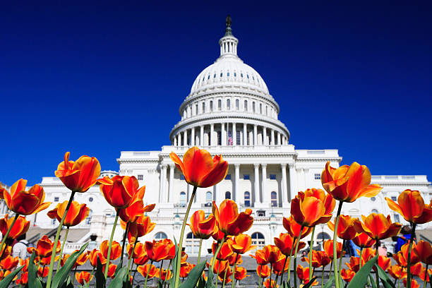 Flowers on US Capitol Grounds stock photo
