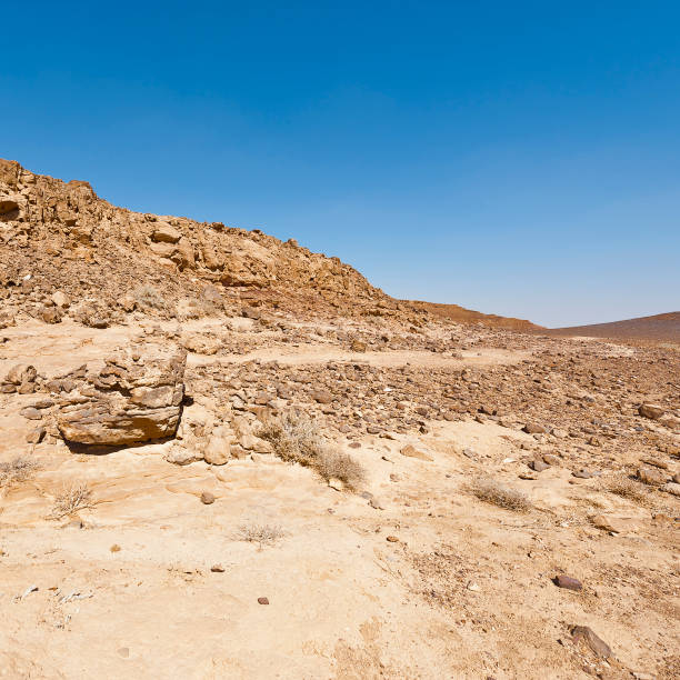 istock Nature of the Middle East. 1042433384
