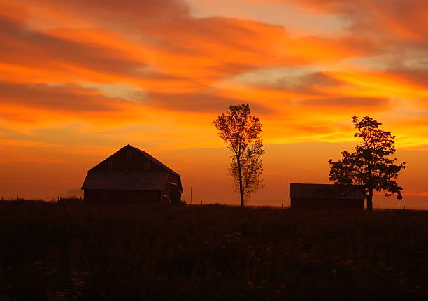 Sunset at an agriculture field in rural North Dakota farm