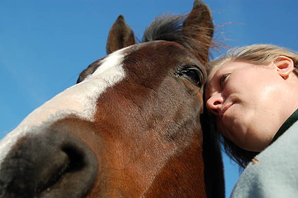 istock Alternative Therapy Horse and Owner 104244028