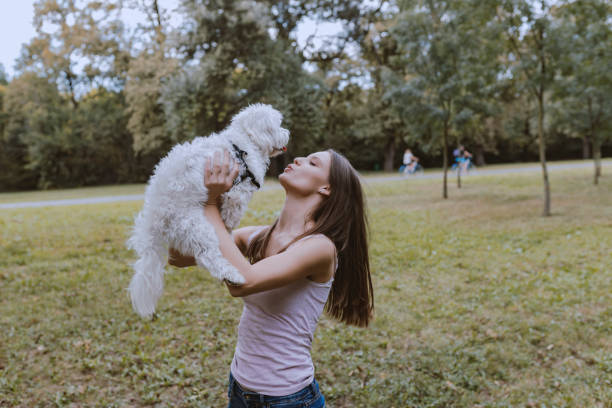 istock Nothing is better than being loved by a dog 1042441034