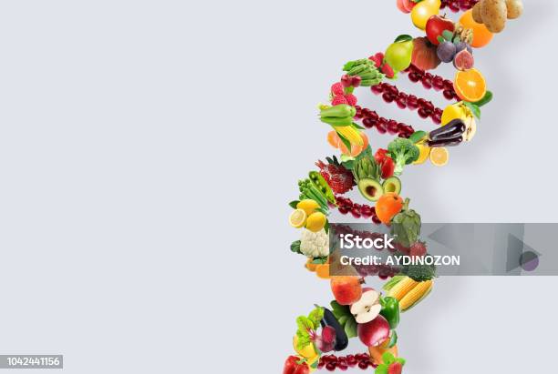 Filamento De La Dna Del Concepto De Nutrigenética Hecho Con Frutas Y Verduras Saludables Foto de stock y más banco de imágenes de Comida sana