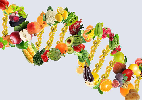 Nutrigenetics concept DNA strand made with healthy fresh vegetables and fruits