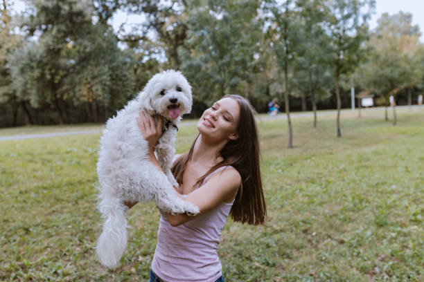 istock Nothing is better than being loved by a dog 1042441258