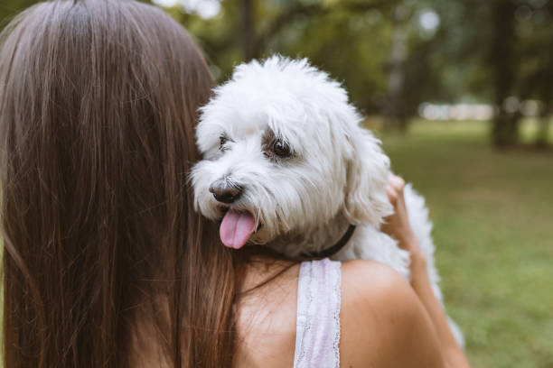 istock Out and about with my loyal companion 1042441334