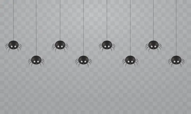 Vector illustration of Black hanging cute spiders on a transparent background. Scary spiders on cobwebs for Halloween.