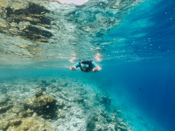istock Snorkeling in Maldives sea 1042451074