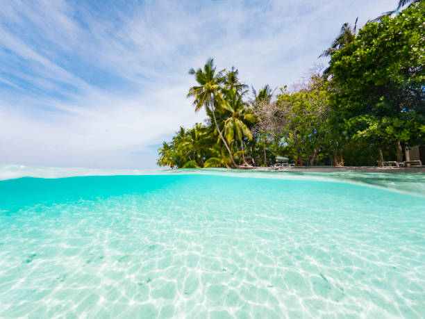 istock Paradisiac beach at Maldives 1042451086