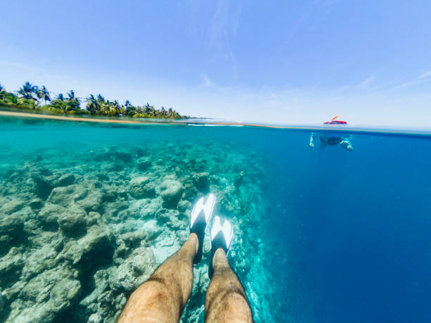 istock Paradisiac sea at Maldives 1042451088