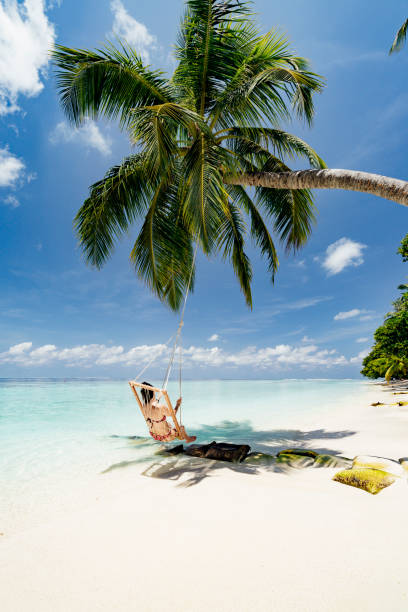 istock Paradisiac beach at Maldives 1042451092