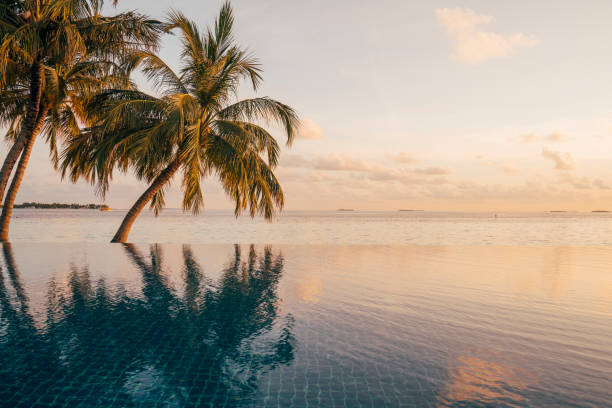 istock Reflection of a palm tree in an infinity pool at Maldives 1042451094