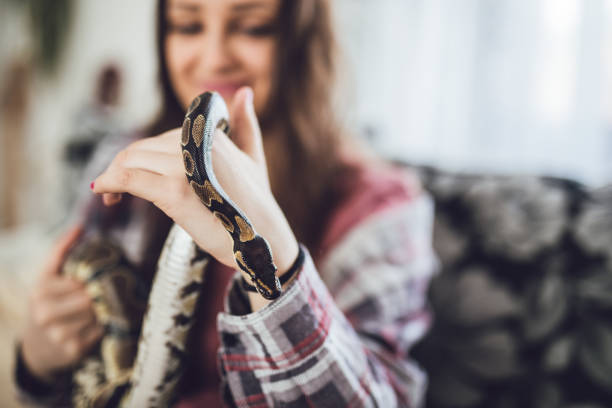 istock young woman holding snake 1042453884