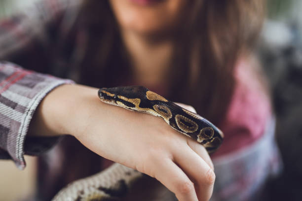 istock young woman holding snake 1042454978