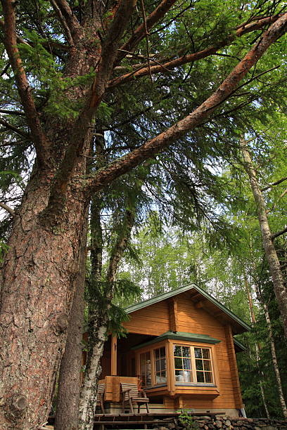 istock Wooden cabin 104246124