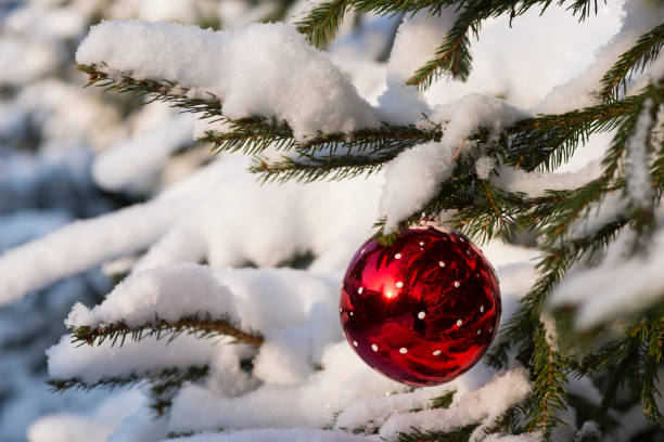 istock Christmas tree. New year. Snow. Winter. 1042465720