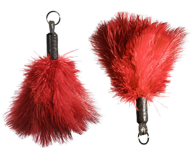 istock Two mops from an ostrich's feather for dust cleaning 104246940