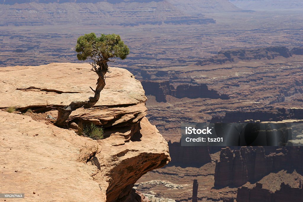 Parque Nacional de Canyonlands - Foto de stock de Ajardinado royalty-free