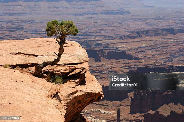 Foto de Parque Nacional De Canyonlands e mais fotos de stock de Ajardinado - Ajardinado, Amor à Primeira Vista, Areia