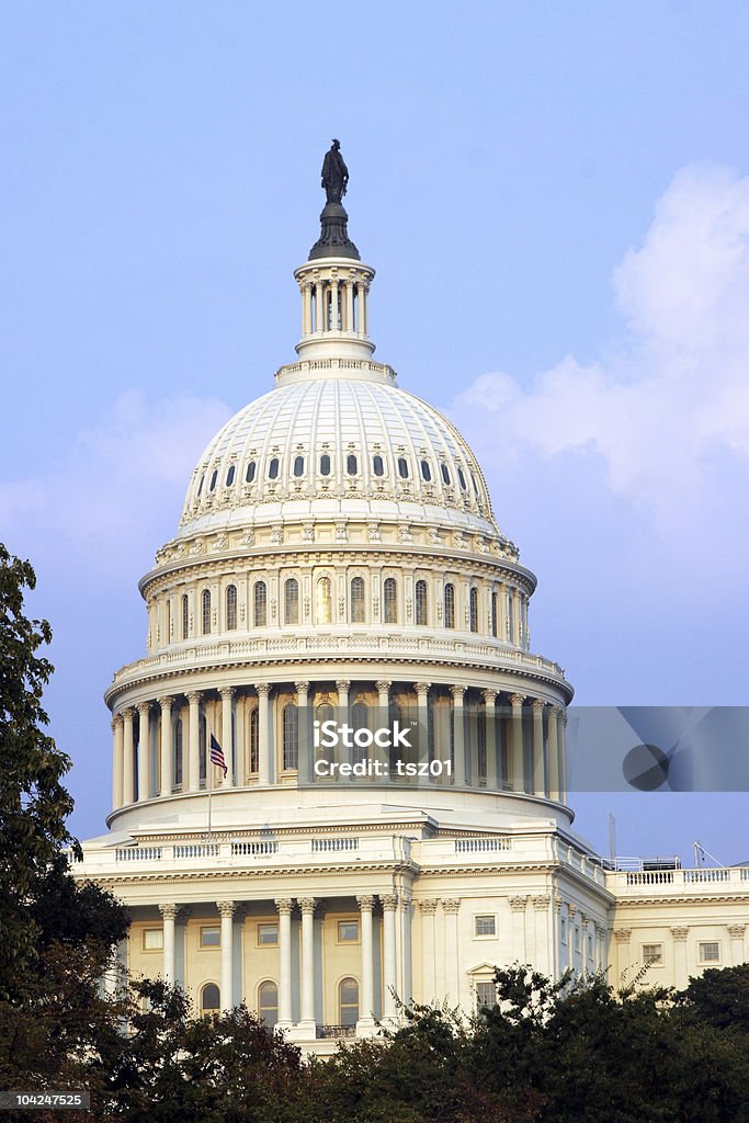 US Capitol -ワシントン D .C . - アメリカ合衆国のロイヤリティフリーストックフォト