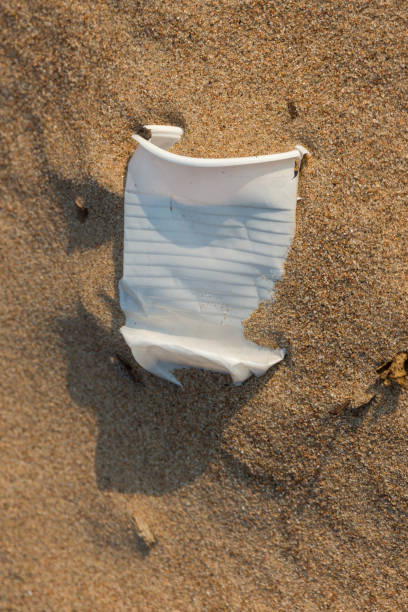 istock litter on the beach 1042478300