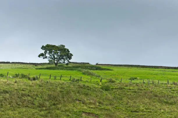 Photo of North Pennines