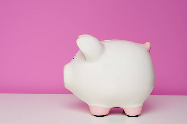 istock Piggy Bank 104251420