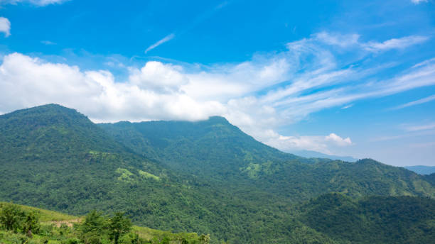istock Blue sky and white cloud on green forest on mountain on daytime 1042515026