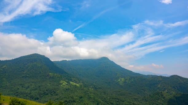 istock Blue sky and white cloud on green forest on mountain on daytime 1042517588