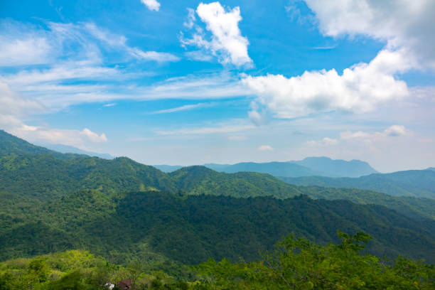 Blue sky and white cloud on green forest on mountain on daytime
