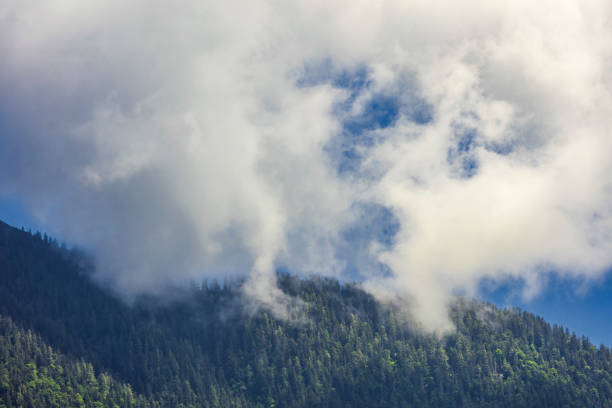 white clouds covering green mountains