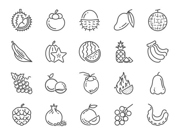 Tropical fruit icon set. Included icons as durian, mango, banana, longan, pineapple and more. Tropical fruit icon set. Included icons as durian, mango, banana, longan, pineapple and more. chrysophyllum cainito stock illustrations