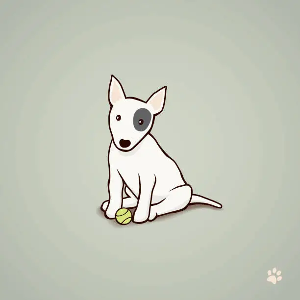 Vector illustration of Bull Terrier puppy with tennis ball