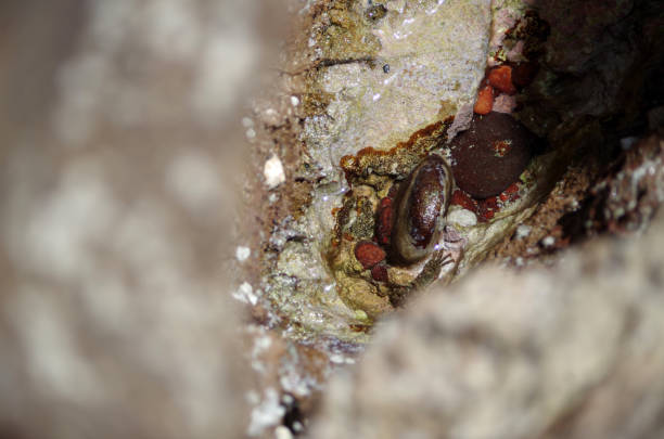 istock The Colors Of Rocks 1042534698