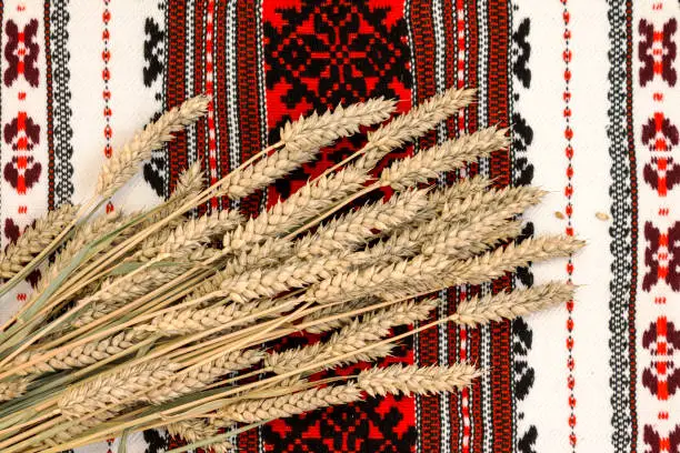 Wheat on ethnic ukrainian traditional ornate background. Classic ornate ukrainian rug or towel with wheat on it. Geometric ornamental pattern in classic slavic style. Close up top view