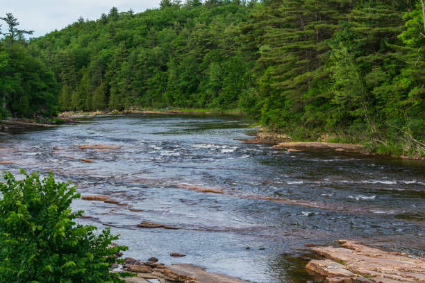 istock A scenic river flowing in the summer 1042538370