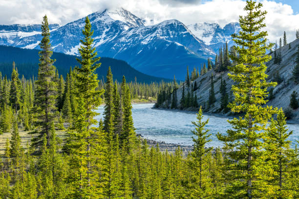 istock Spring Mountain Valley - Spring storm clouds passing over high ridges of Mount Sarbach and coming into sunny North Saskatchewan River valley, Banff National Park, AB, Canada. 1042538580