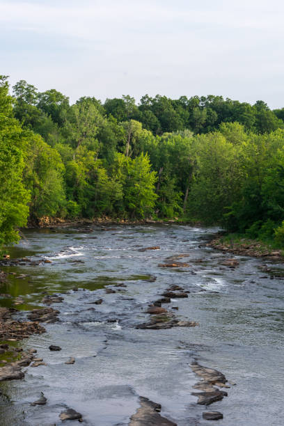 istock A river flowing in the summertime 1042540136