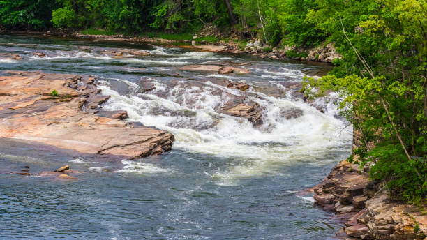 istock A river flowing over rocks and forming rapids 1042543228