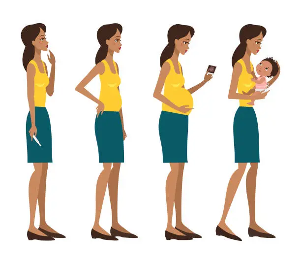 Vector illustration of Pregnancy