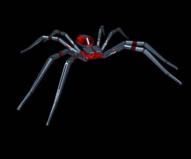 3D spider. stock photo