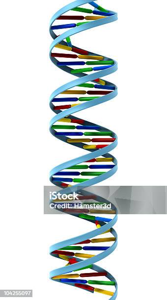 Photo libre de droit de Hélice Adn Isolé banque d'images et plus d'images libres de droit de ADN - ADN, Abstrait, Acide