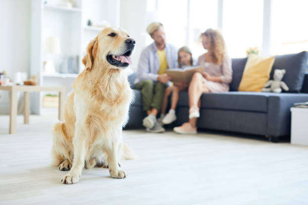 Family guardian