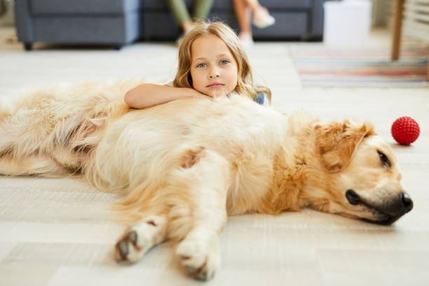 istock Girl with labrador 1042553156