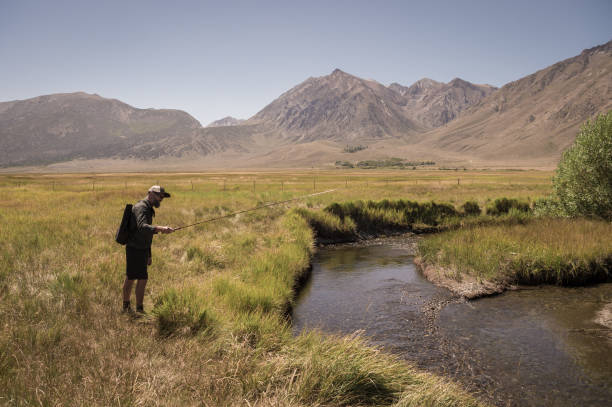istock Flyfisherman Stalking Trout In A Small Stream 1042555690