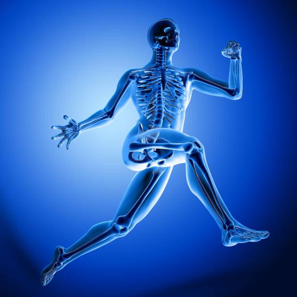 istock 3d medical figure in running pose 1042564356